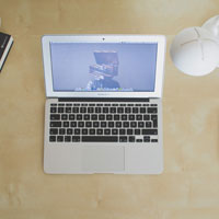 Website Programmer